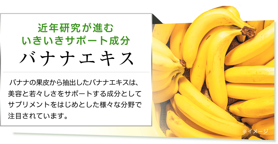 近年研究が進むいきいきサポート成分 バナナエキス  バナナの果皮から抽出したバナナエキスは、美容と若々しさをサポートする成分としてサプリメントをはじめとした様々な分野で注目されています。